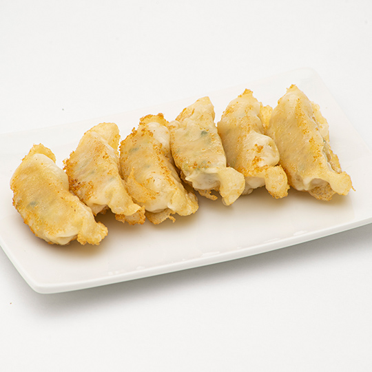 Deep Fried Dumpling
